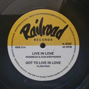 Pansbesa & Dub Shepherds - Live In Love